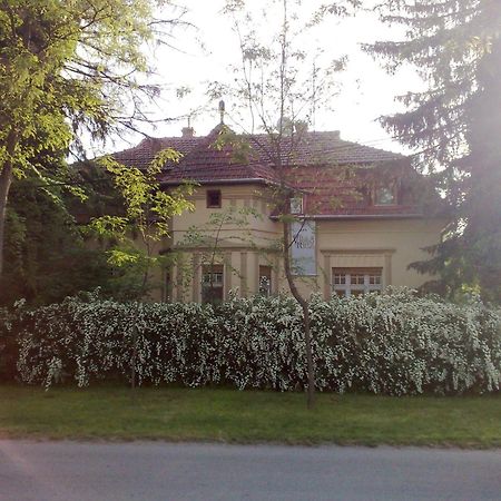 Villa Ricz Palić エクステリア 写真