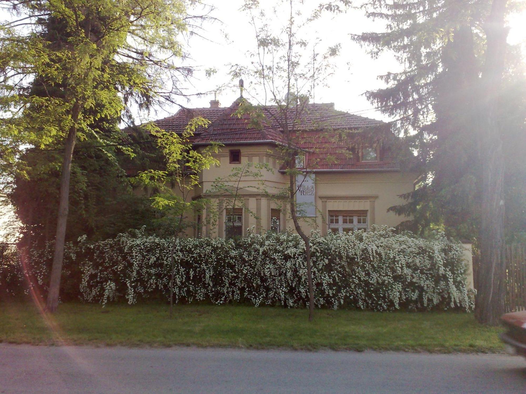 Villa Ricz Palić エクステリア 写真